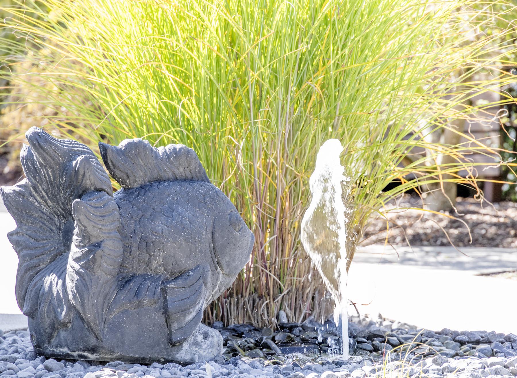 Schaugarten mit Wasserspiel
